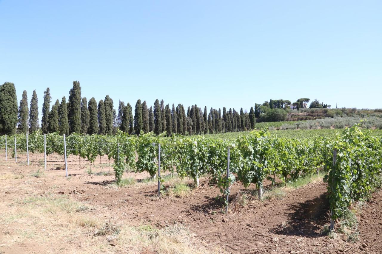 Tenuta Di Pietra Porzia Monte Porzio Catone Luaran gambar