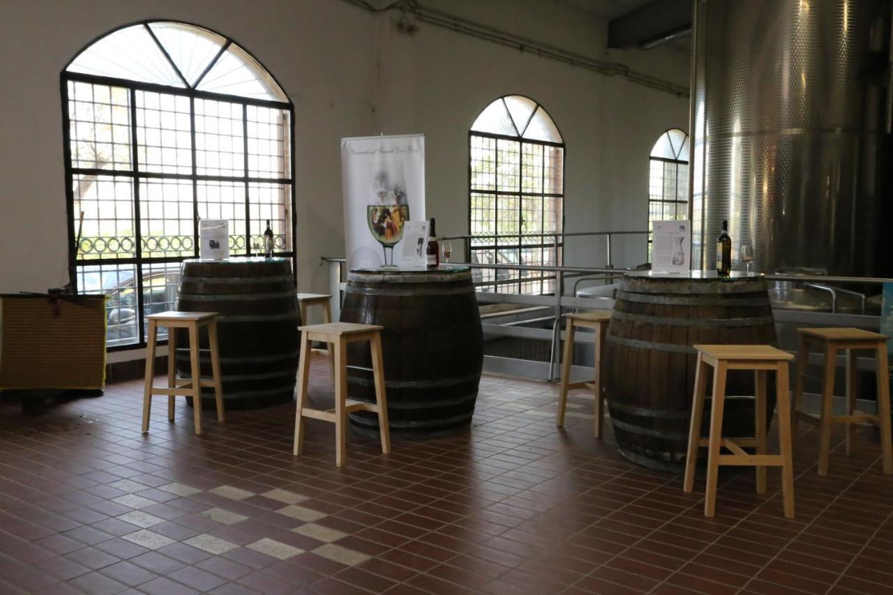 Tenuta Di Pietra Porzia Monte Porzio Catone Luaran gambar