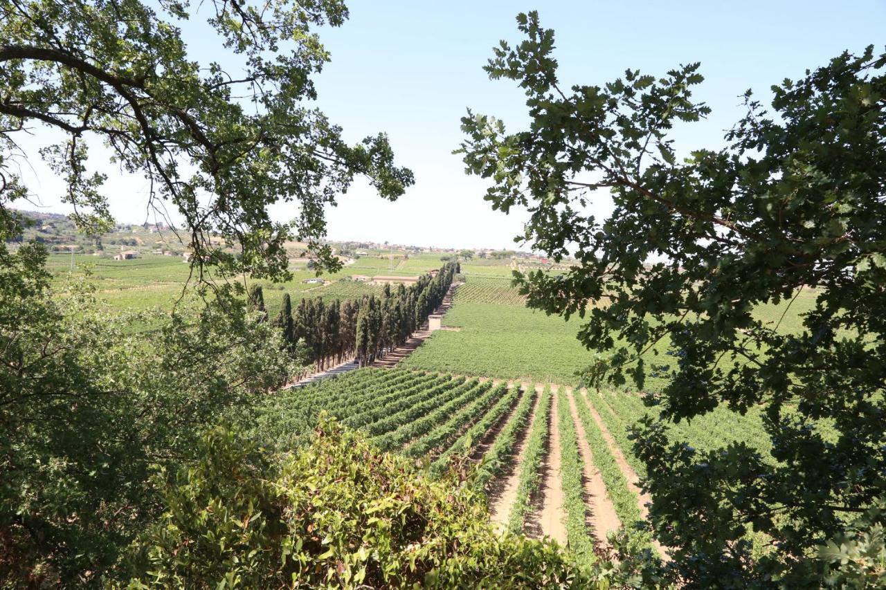 Tenuta Di Pietra Porzia Monte Porzio Catone Luaran gambar